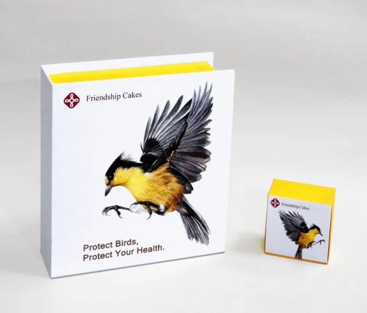 2025紅點品牌與傳達<a href=http://www.omaite.com/ target=_blank class=infotextkey>設計</a>獲獎作品公布145.jpeg