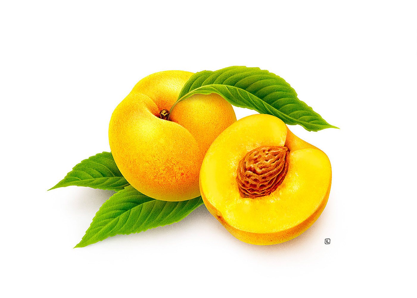 <a href=http://www.omaite.com/sheji/chahua/ target=_blank class=infotextkey>宋</a>Irene LaschiL<a href=http://www.omaite.com/sheji/chahua/ target=_blank class=infotextkey>宋</a>Ʒ