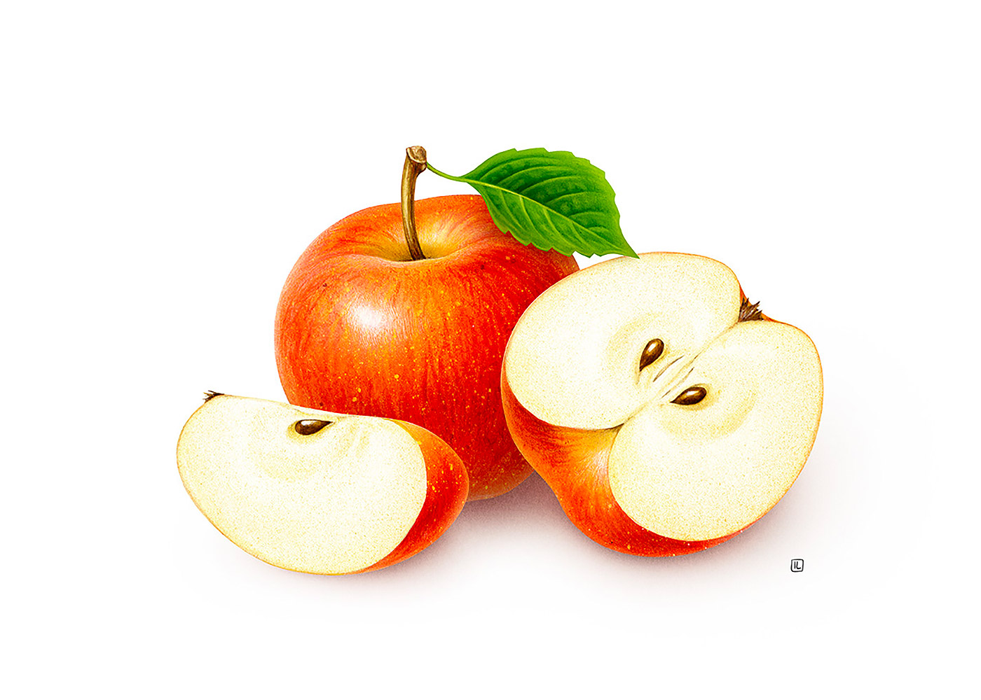 <a href=http://www.omaite.com/sheji/chahua/ target=_blank class=infotextkey>宋</a>Irene LaschiL<a href=http://www.omaite.com/sheji/chahua/ target=_blank class=infotextkey>宋</a>Ʒ