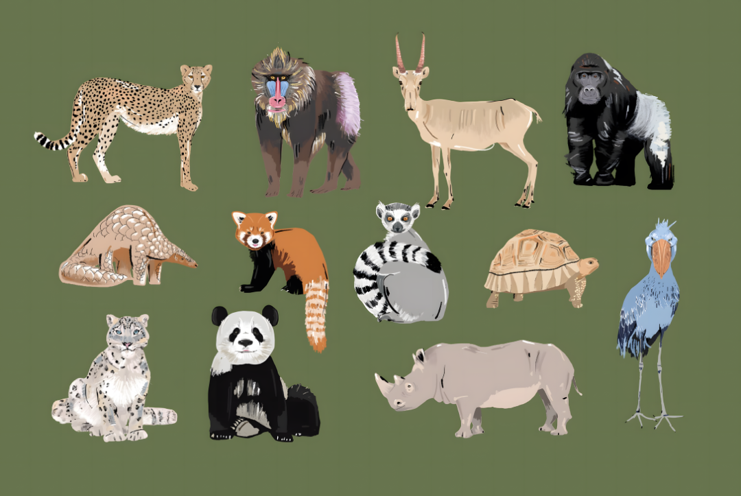 歐洲 iJUNGLE <a href=http://www.omaite.com/sheji/chahua/ target=_blank class=infotextkey>插畫</a>104.png