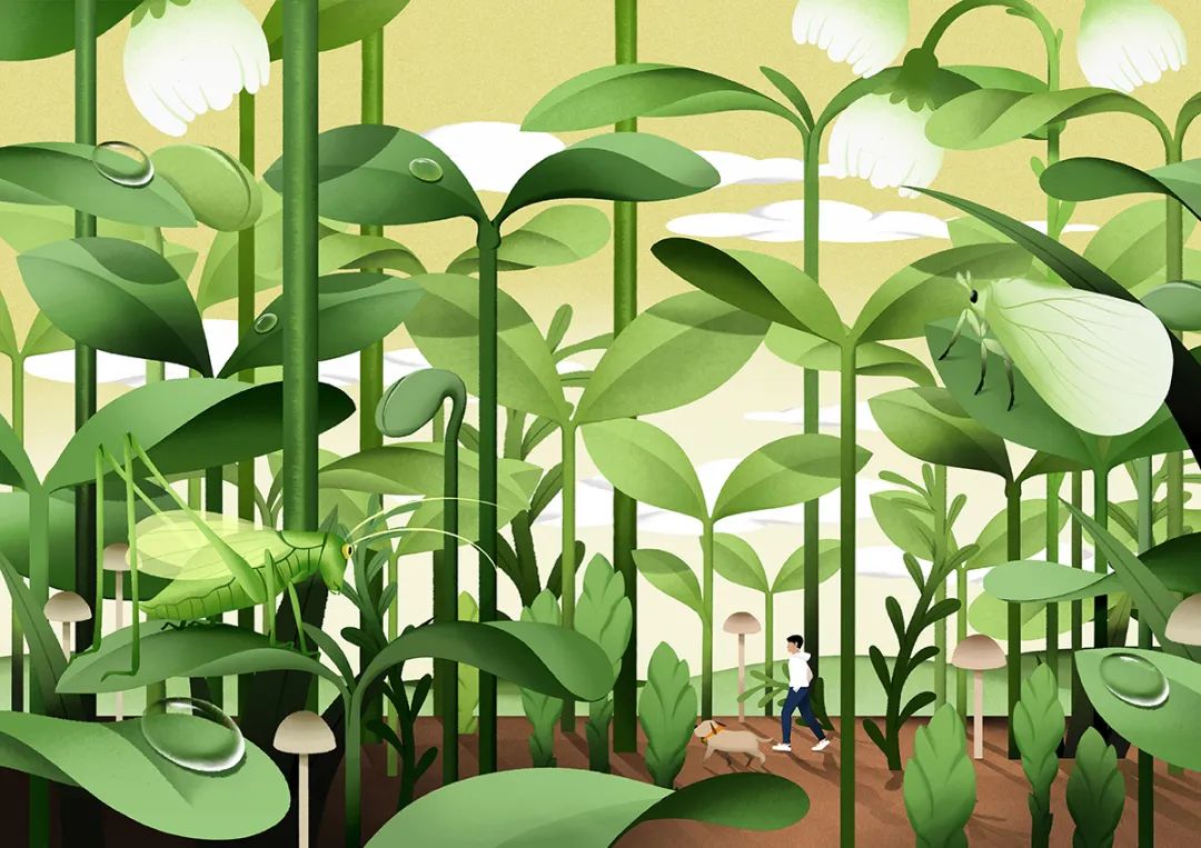 2022 JIAձ<a href=http://www.omaite.com/sheji/chahua/ target=_blank class=infotextkey>宋</a>󪄫@Ʒ