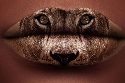 MeristemƽVO(sh)Ӌ(j)L_Į(hu)